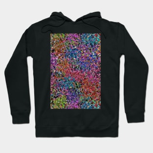 Color Carnival Hoodie